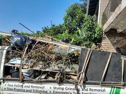Best Hoarding Cleanup  in Ramsey, MN